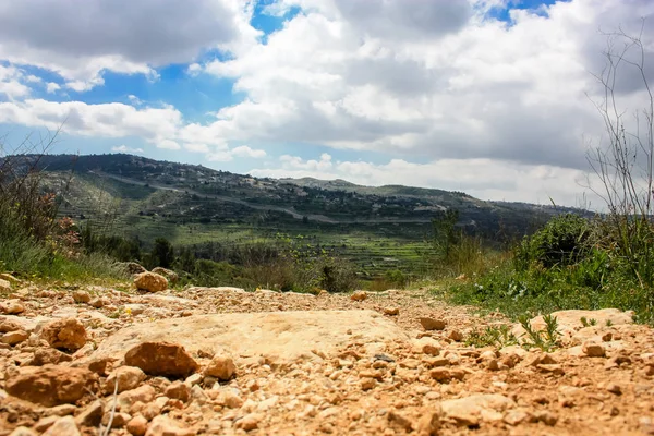 Krajina Příroda Údolí Bílé Nedaleko Jeruzaléma Součástí Izraelské Národní Trek — Stock fotografie
