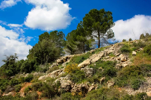 Paisagem Natureza Vale Branco Perto Jerusalém Parte Caminhada Nacional Israelense — Fotografia de Stock