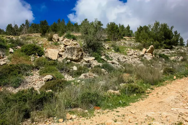 風景と自然 エルサレム イスラエル国家のトレックの一部に近いホワイト バレー — ストック写真