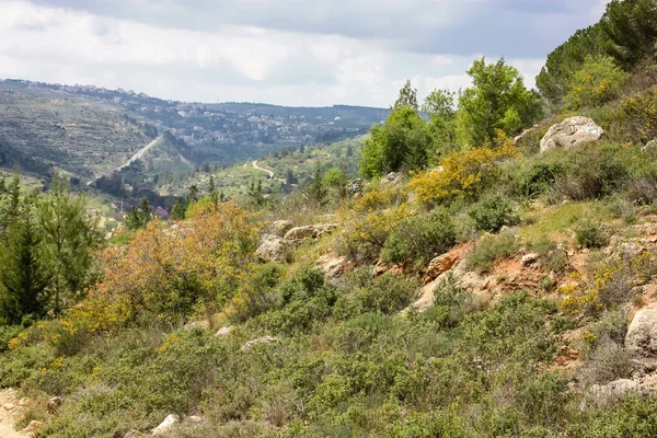 Landschap Natuur Vallei Van Wit Buurt Van Jeruzalem Deel Van — Stockfoto