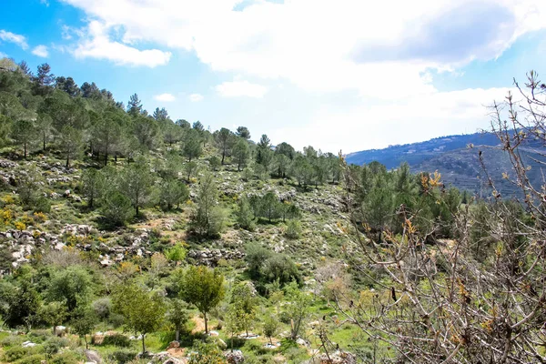 Manzara ve doğa beyaz Valley Kudüs, İsrail Ulusal Trek bir parçası yakınlarında