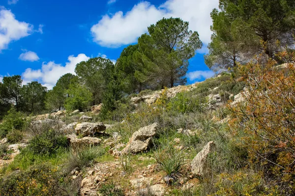 Landskapet Och Naturen Den Vit Dalen Nära Jerusalem Del Den — Stockfoto