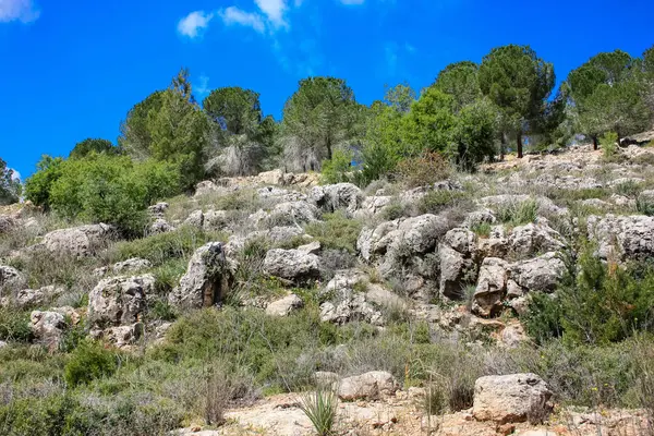 Paesaggio Natura Nella Valle Bianca Vicino Gerusalemme Parte Del Trekking — Foto Stock