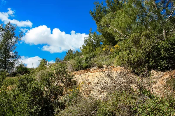 Krajobraz Natura Białej Dolinie Pobliżu Jerozolimy Część Izraela Krajowej Trek — Zdjęcie stockowe