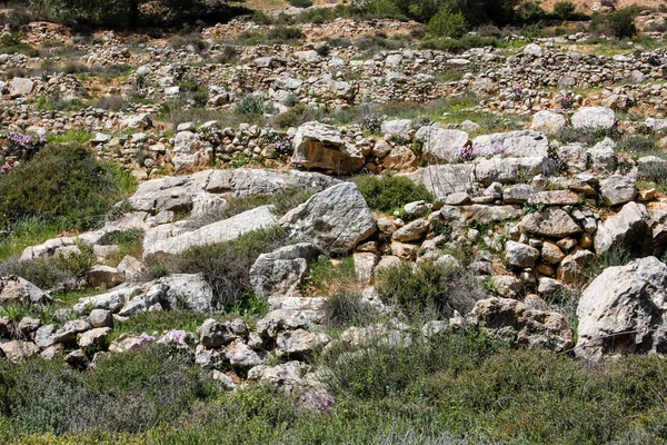 Landschap Natuur Vallei Van Wit Buurt Van Jeruzalem Deel Van — Stockfoto