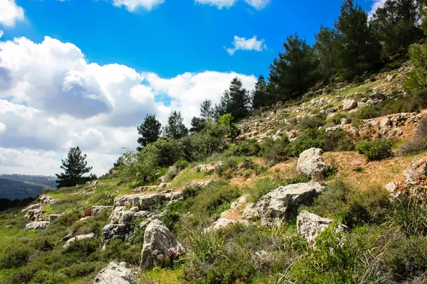 風景と自然 エルサレム イスラエル国家のトレックの一部に近いホワイト バレー — ストック写真