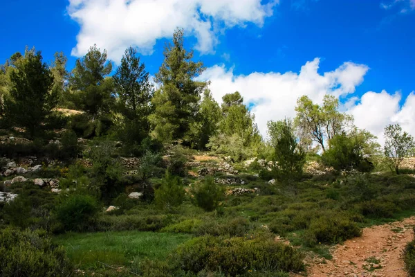 Paisagem Natureza Vale Branco Perto Jerusalém Parte Caminhada Nacional Israelense — Fotografia de Stock