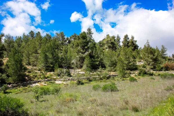 Krajina Příroda Údolí Bílé Nedaleko Jeruzaléma Součástí Izraelské Národní Trek — Stock fotografie