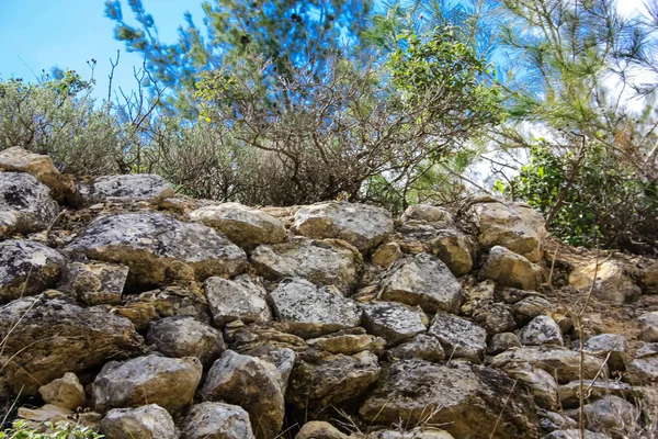 Landschaft Und Natur Weißen Tal Bei Jerusalem Teil Des Israelischen — Stockfoto