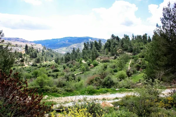 Paesaggio Natura Nella Valle Bianca Vicino Gerusalemme Parte Del Trekking — Foto Stock