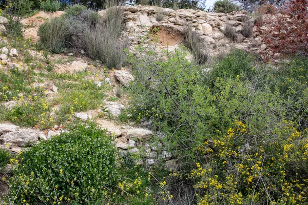 Landschaft Und Natur Weißen Tal Bei Jerusalem Teil Des Israelischen — Stockfoto