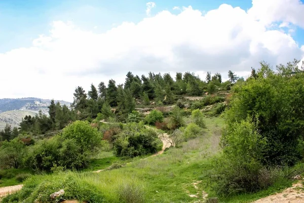 Paisaje Naturaleza Valle Blanco Cerca Jerusalén Parte Caminata Nacional Israelí —  Fotos de Stock