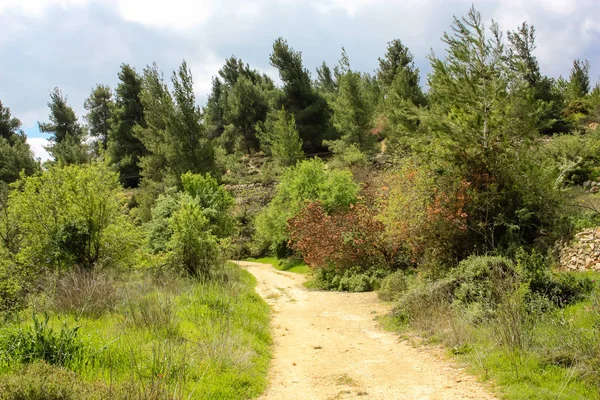 Paisagem Natureza Vale Branco Perto Jerusalém Parte Caminhada Nacional Israelense — Fotografia de Stock