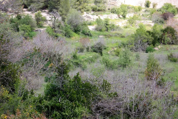 Landschaft Und Natur Weißen Tal Bei Jerusalem Teil Des Israelischen — Stockfoto