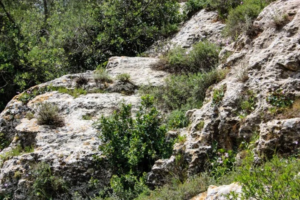 Paysage Nature Dans Vallée Blanche Près Jérusalem Dans Cadre Trek — Photo