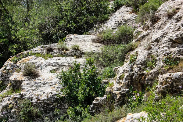 Paisagem Natureza Vale Branco Perto Jerusalém Parte Caminhada Nacional Israelense — Fotografia de Stock