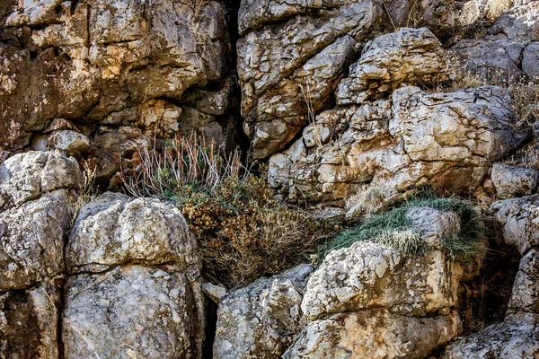 Crete Countryside Krajobraz Przyroda — Zdjęcie stockowe