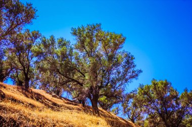Crete kırsal manzara ve doğa