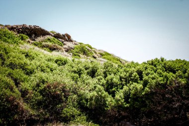 Crete kırsal manzara ve doğa