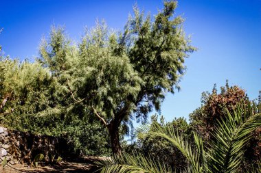 Crete kırsal manzara ve doğa