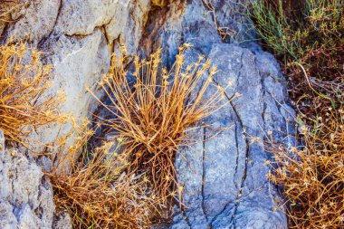 Crete kırsal manzara ve doğa