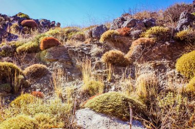Crete kırsal manzara ve doğa