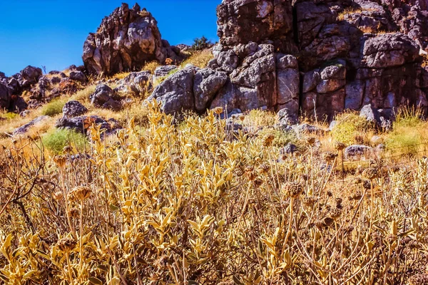 Crete Platteland Landschap Natuur — Stockfoto