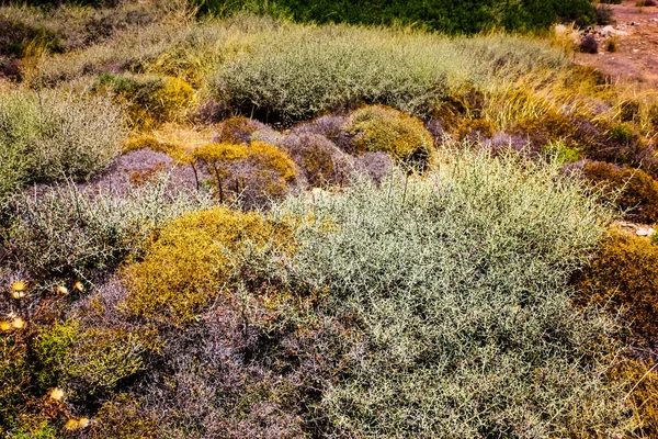 Крит Сельский Пейзаж Природа — стоковое фото