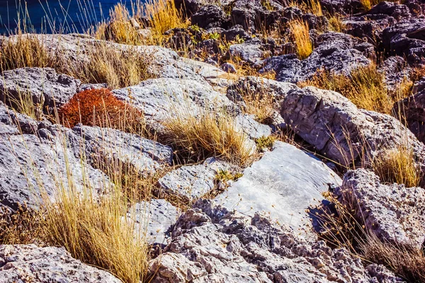 Paisagem Rural Creta Natureza — Fotografia de Stock