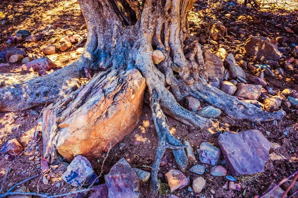 クレタ島の田園風景と自然 — ストック写真