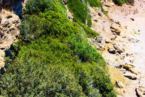 Crete Countryside Krajobraz Przyroda — Zdjęcie stockowe