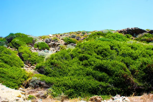 Creta Paisaje Rural Naturaleza — Foto de Stock