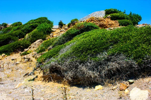 Crete Kırsal Manzara Doğa — Stok fotoğraf