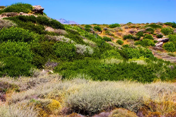 Crete Landsbygd Landskap Och Natur — Stockfoto
