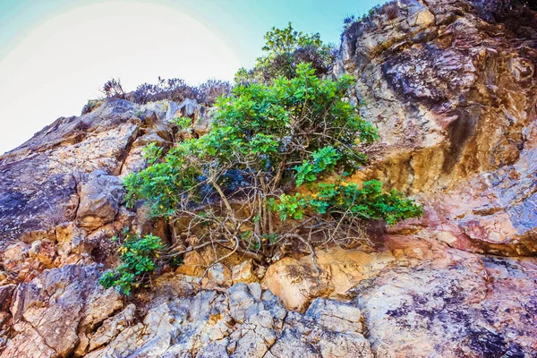Crete Countryside Krajobraz Przyroda — Zdjęcie stockowe