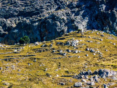 plaj ve kıyı şeridi Crete adasının görünümü