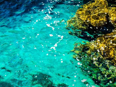 plaj ve kıyı şeridi Crete adasının görünümü