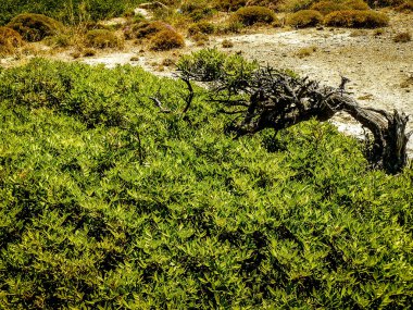 plaj ve kıyı şeridi Crete adasının görünümü