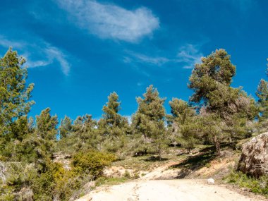 Doğa ve manzara Kudüs'te İsrail çevresinde      