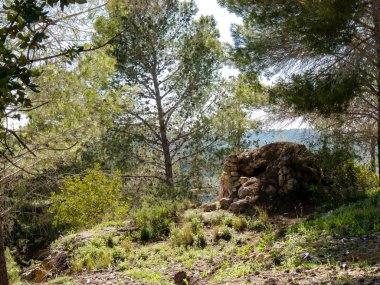Doğa ve manzara Kudüs'te İsrail çevresinde      