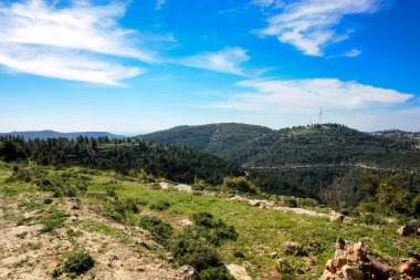 Doğa ve manzara Kudüs'te İsrail çevresinde      