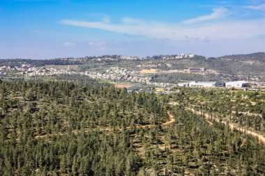 Doğa ve manzara Kudüs'te İsrail çevresinde      