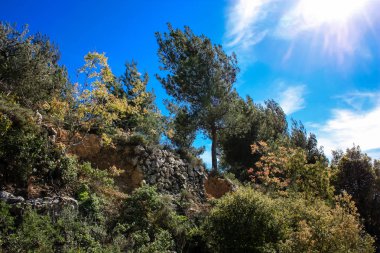 Doğa ve manzara Kudüs'te İsrail çevresinde      