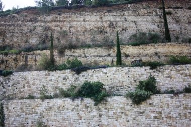 Doğa ve manzara Kudüs'te İsrail çevresinde      