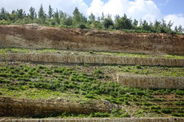 Doğa ve manzara Kudüs'te İsrail çevresinde      