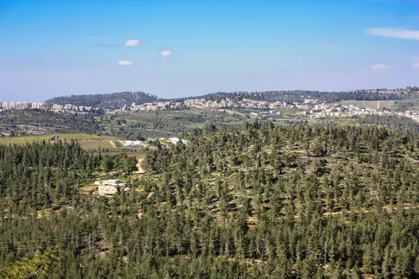 Natuur Landschap Rond Jeruzalem Israël — Stockfoto