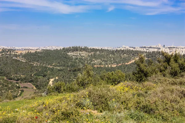 Naturaleza Paisaje Alrededor Jerusalén Israel — Foto de Stock