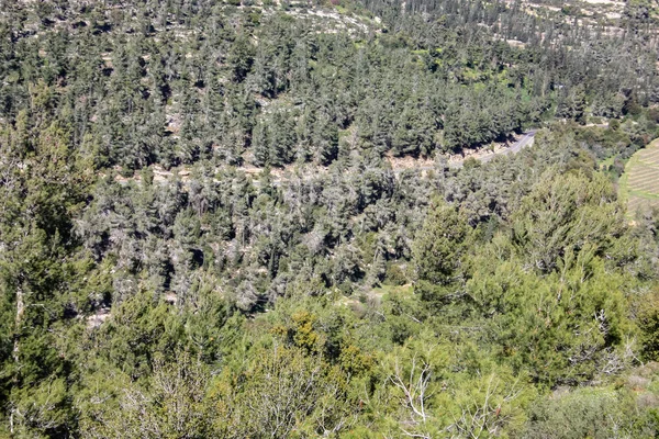 Φύσης Και Του Τοπίου Γύρω Από Την Ιερουσαλήμ Στο Ισραήλ — Φωτογραφία Αρχείου