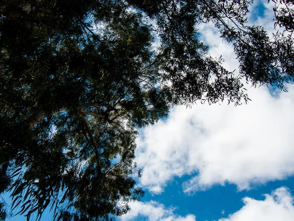 Natura Paesaggio Intorno Gerusalemme Israele — Foto Stock