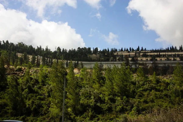 Природа Пейзаж Вокруг Иерусалима Израиле — стоковое фото